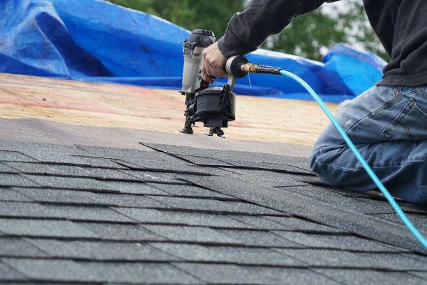 Best Roof Gutter Cleaning  in Myrtle Grove, NC